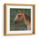 Mustango - Kevin Daniel | Cuadro decorativo de Canvas Lab