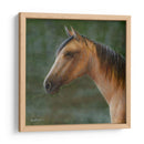 Mustango - Kevin Daniel | Cuadro decorativo de Canvas Lab