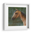 Mustango - Kevin Daniel | Cuadro decorativo de Canvas Lab