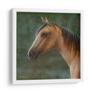 Mustango - Kevin Daniel | Cuadro decorativo de Canvas Lab