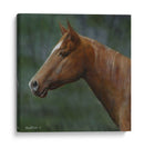 Cuarto Caballo - Kevin Daniel | Cuadro decorativo de Canvas Lab