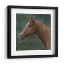 Cuarto Caballo - Kevin Daniel | Cuadro decorativo de Canvas Lab