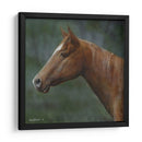 Cuarto Caballo - Kevin Daniel | Cuadro decorativo de Canvas Lab