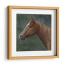 Cuarto Caballo - Kevin Daniel | Cuadro decorativo de Canvas Lab