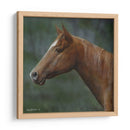 Cuarto Caballo - Kevin Daniel | Cuadro decorativo de Canvas Lab