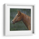 Cuarto Caballo - Kevin Daniel | Cuadro decorativo de Canvas Lab