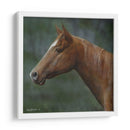 Cuarto Caballo - Kevin Daniel | Cuadro decorativo de Canvas Lab