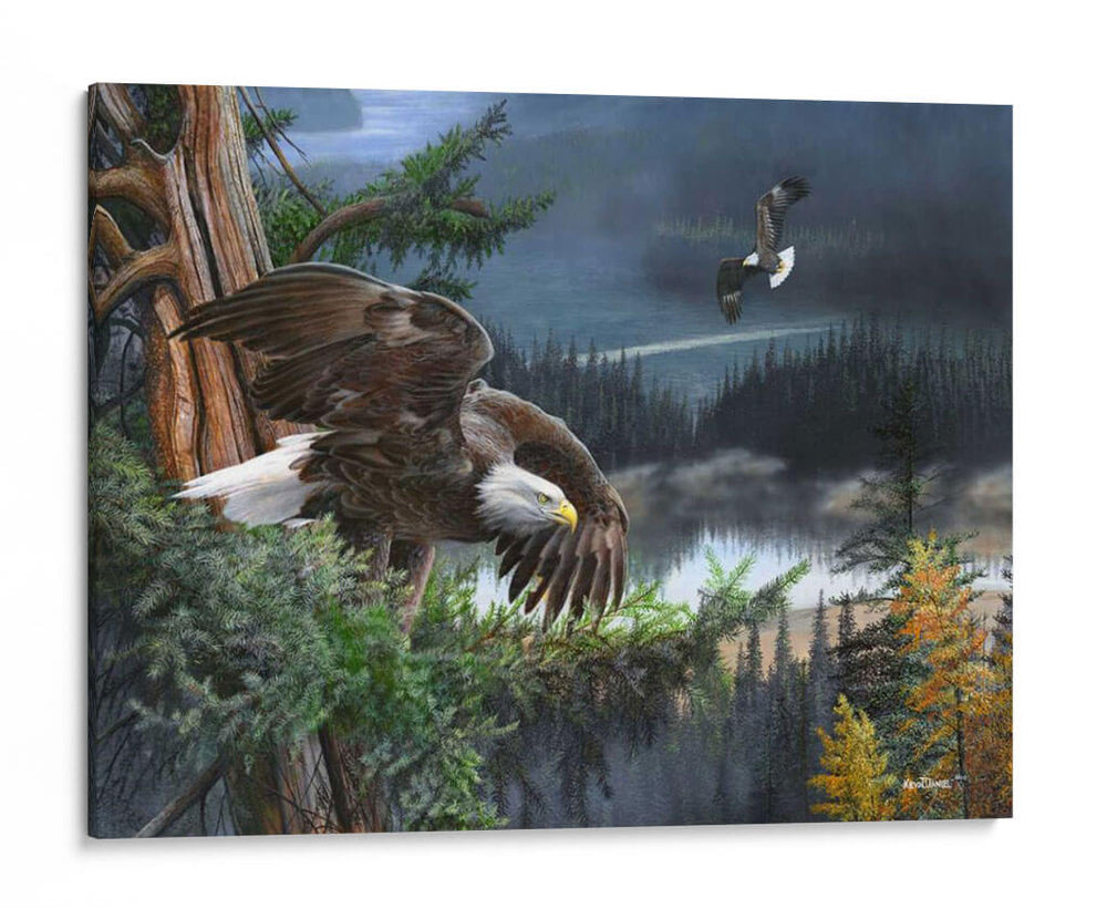 Alas De Libertad - Kevin Daniel | Cuadro decorativo de Canvas Lab