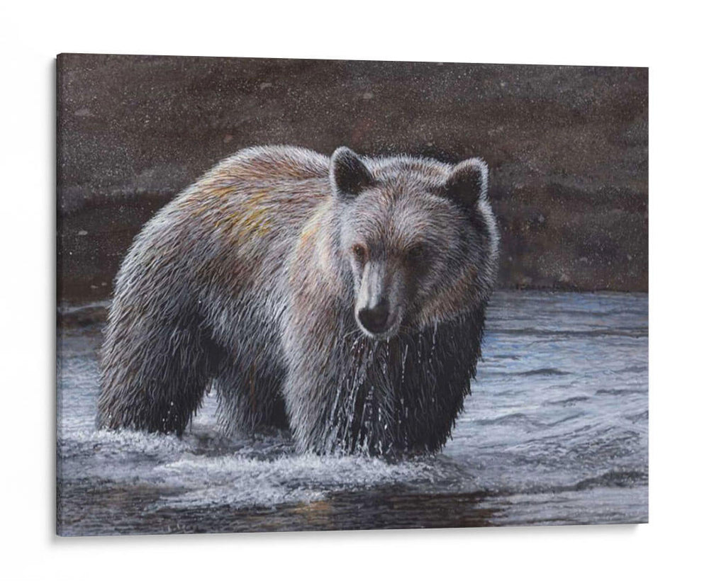 Wader Solitario - Kevin Daniel | Cuadro decorativo de Canvas Lab