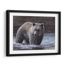 Wader Solitario - Kevin Daniel | Cuadro decorativo de Canvas Lab