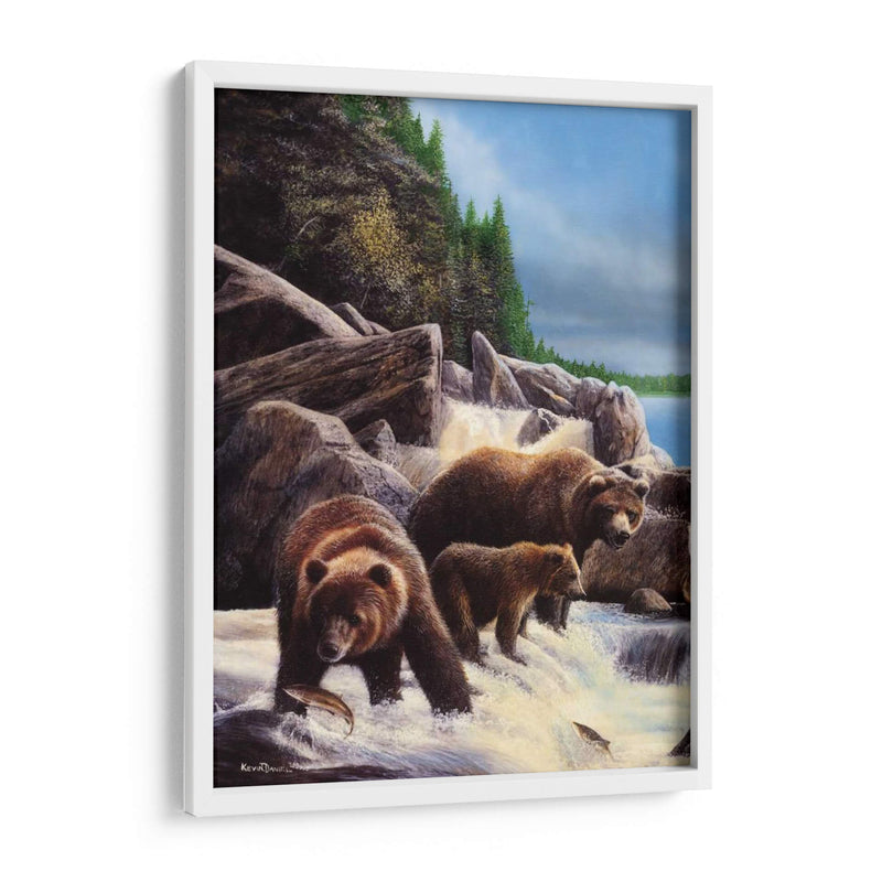 Grizzlies Por Falls - Kevin Daniel | Cuadro decorativo de Canvas Lab