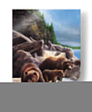 Grizzlies Por Falls - Kevin Daniel | Cuadro decorativo de Canvas Lab