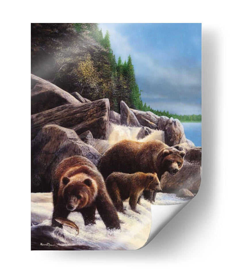 Grizzlies Por Falls - Kevin Daniel | Cuadro decorativo de Canvas Lab