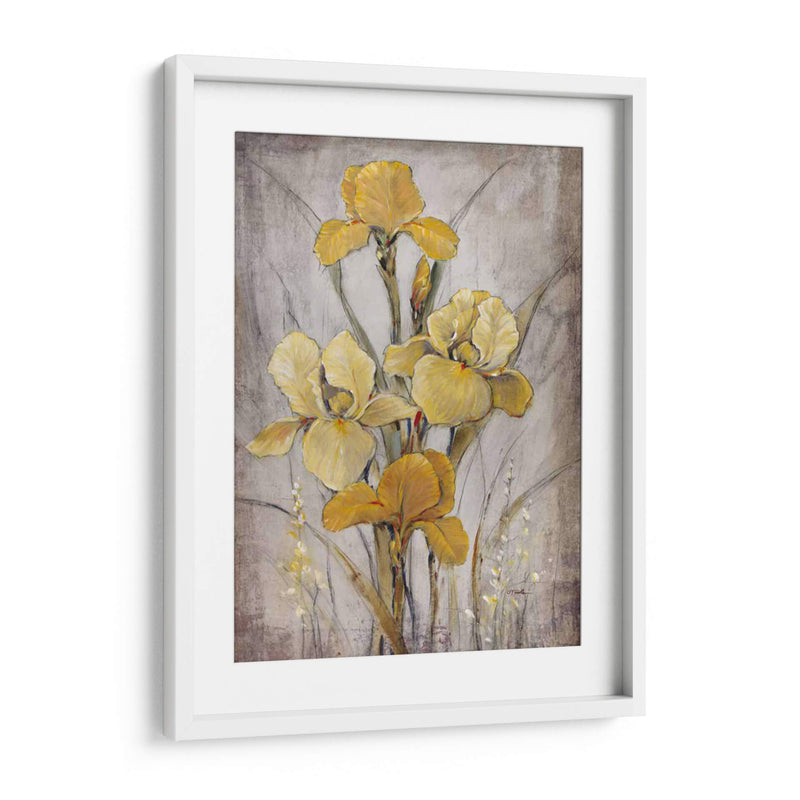 Iris De Oro I - Tim OToole | Cuadro decorativo de Canvas Lab