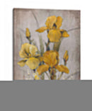 Iris De Oro Ii - Tim OToole | Cuadro decorativo de Canvas Lab