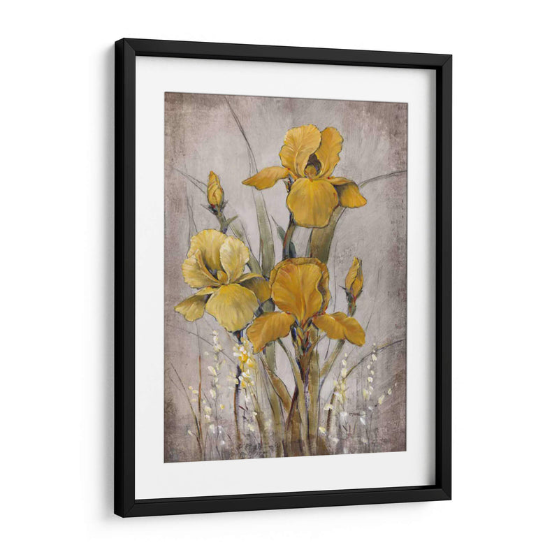 Iris De Oro Ii - Tim OToole | Cuadro decorativo de Canvas Lab