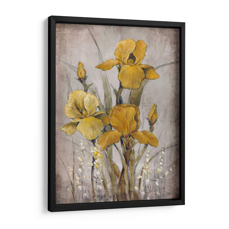 Iris De Oro Ii - Tim OToole | Cuadro decorativo de Canvas Lab