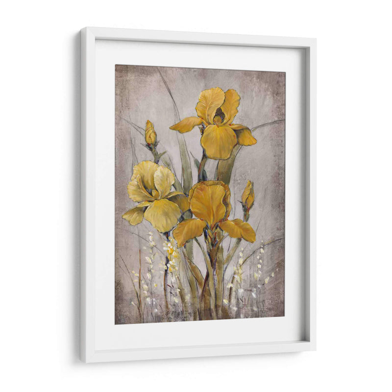 Iris De Oro Ii - Tim OToole | Cuadro decorativo de Canvas Lab