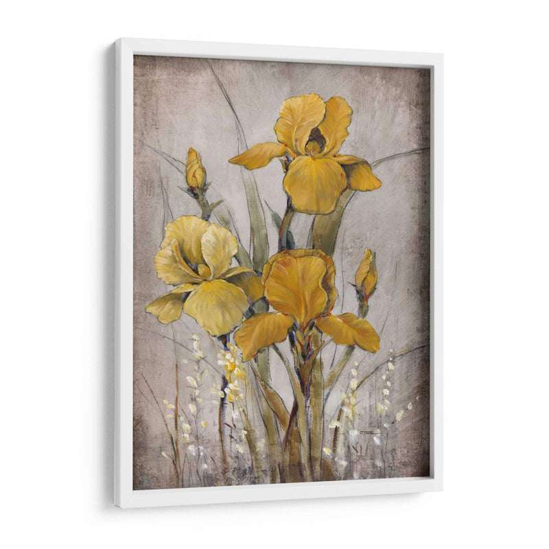 Iris De Oro Ii - Tim OToole | Cuadro decorativo de Canvas Lab