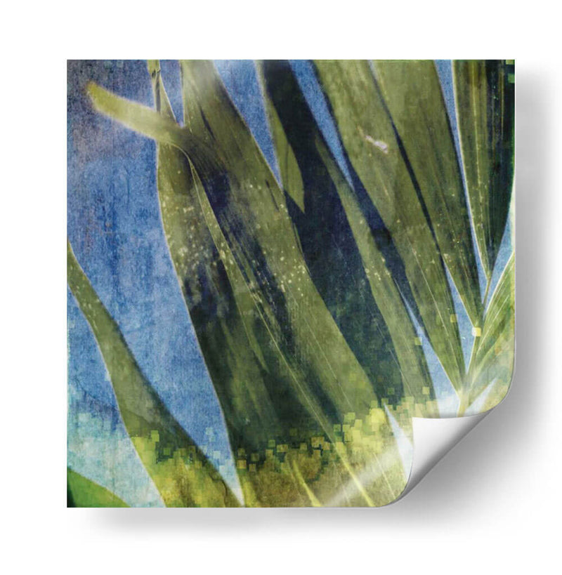 Memoria Tropical I - Emily Robinson | Cuadro decorativo de Canvas Lab