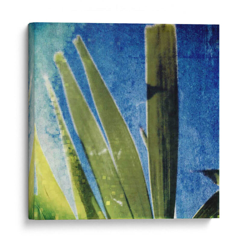 Memoria Tropical Ii - Emily Robinson | Cuadro decorativo de Canvas Lab