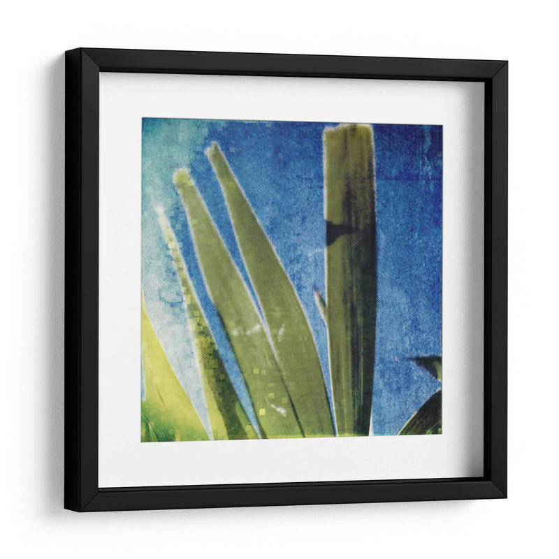 Memoria Tropical Ii - Emily Robinson | Cuadro decorativo de Canvas Lab