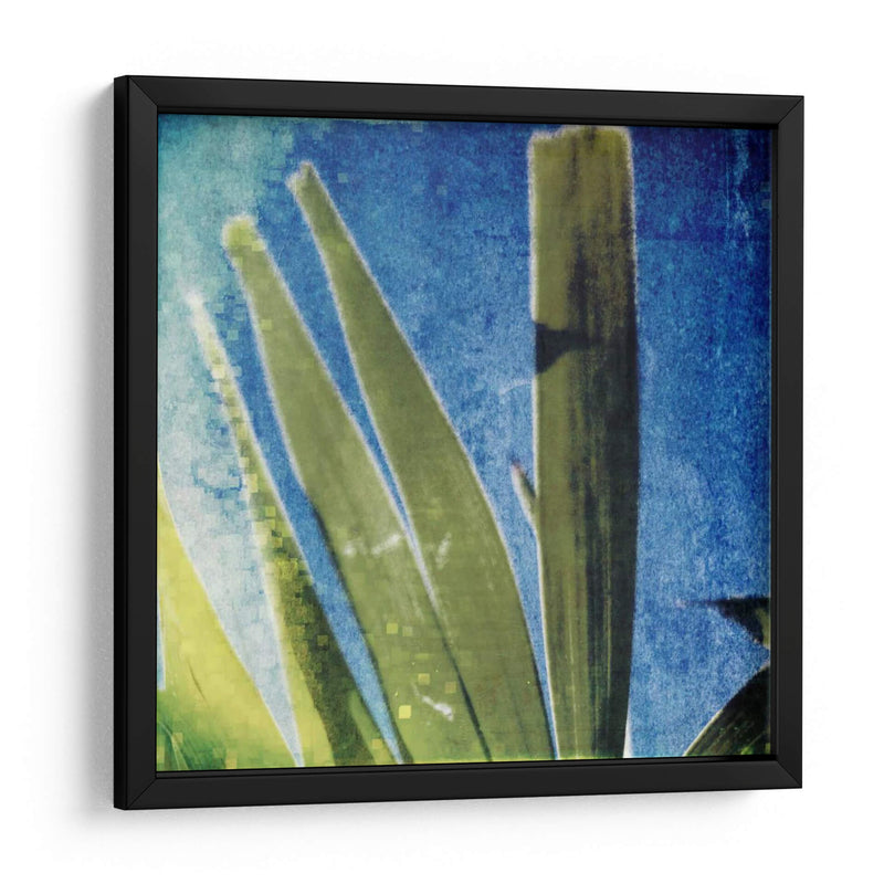 Memoria Tropical Ii - Emily Robinson | Cuadro decorativo de Canvas Lab