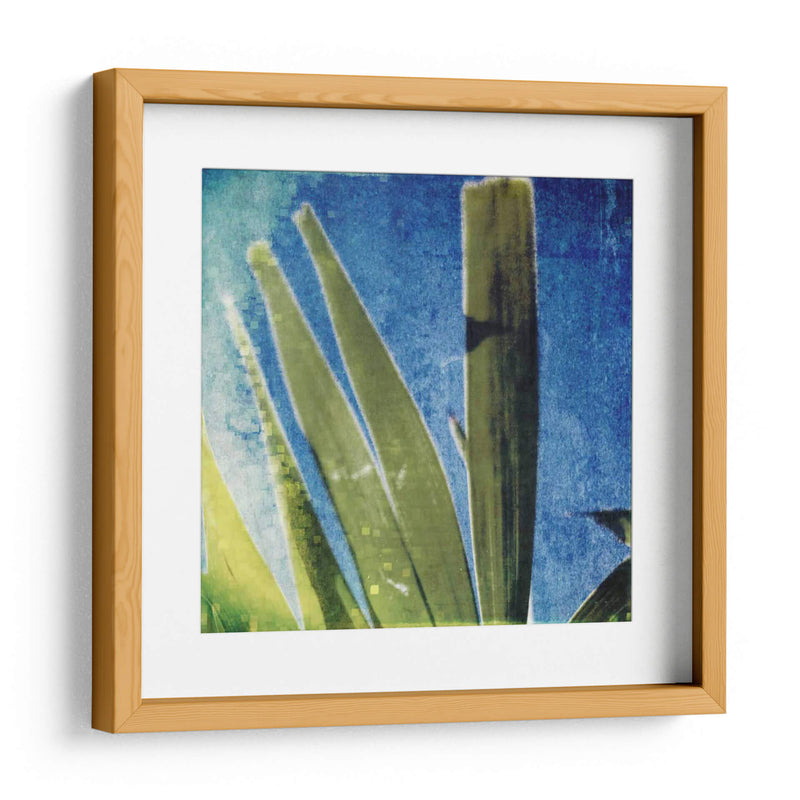 Memoria Tropical Ii - Emily Robinson | Cuadro decorativo de Canvas Lab