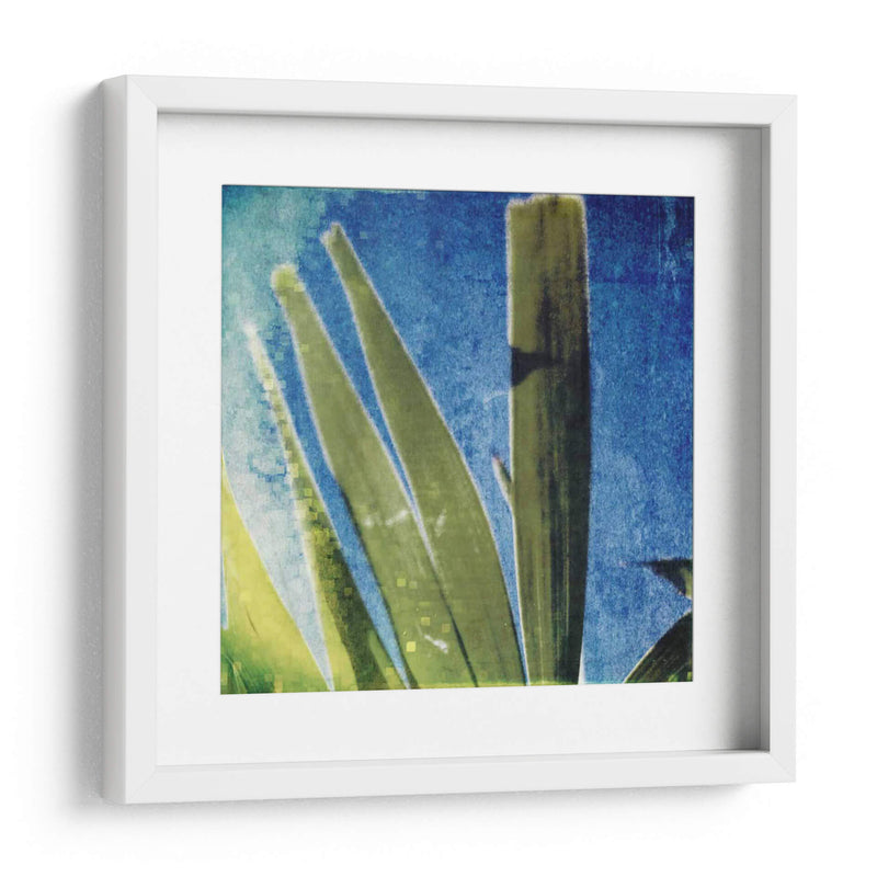 Memoria Tropical Ii - Emily Robinson | Cuadro decorativo de Canvas Lab