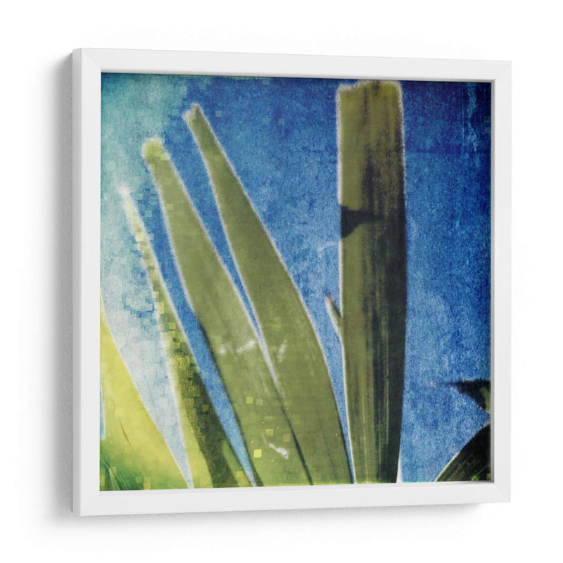 Memoria Tropical Ii - Emily Robinson | Cuadro decorativo de Canvas Lab