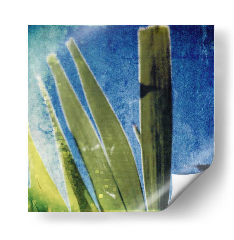 Memoria Tropical Ii - Emily Robinson | Cuadro decorativo de Canvas Lab