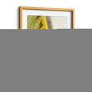 Estudio Frond I - Emily Robinson | Cuadro decorativo de Canvas Lab