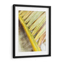 Estudio Frond Ii Ii - Emily Robinson | Cuadro decorativo de Canvas Lab