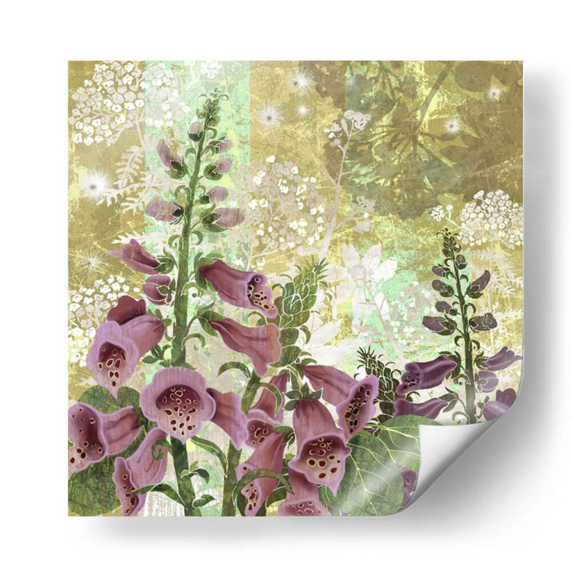 Prado De Foxglove I - R. Collier-Morales | Cuadro decorativo de Canvas Lab