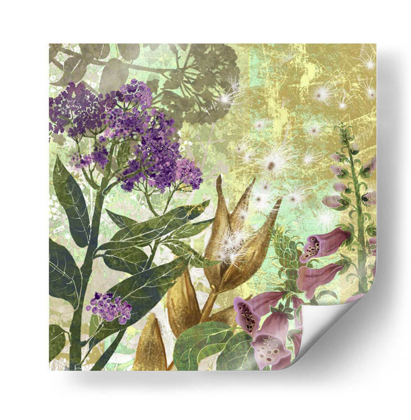 Foxglove Meadow Ii - R. Collier-Morales | Cuadro decorativo de Canvas Lab