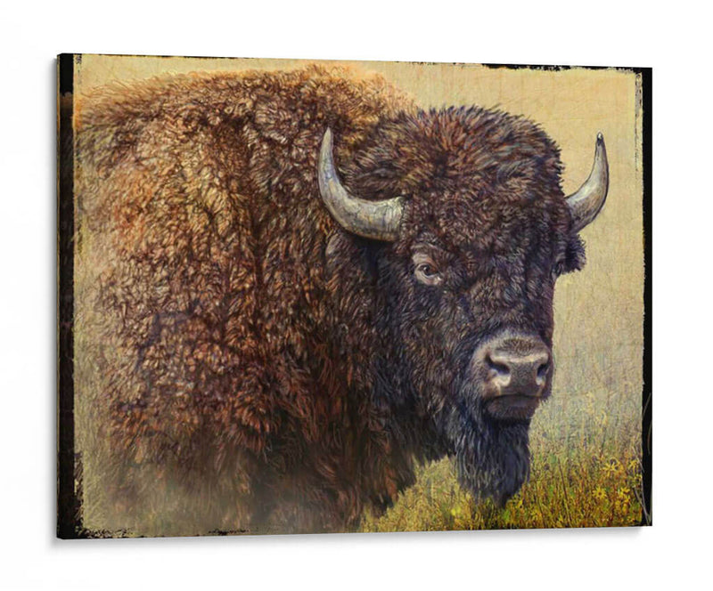 Retrato Bisonte I - Chris Vest | Cuadro decorativo de Canvas Lab