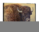 Retrato Bisonte I - Chris Vest | Cuadro decorativo de Canvas Lab