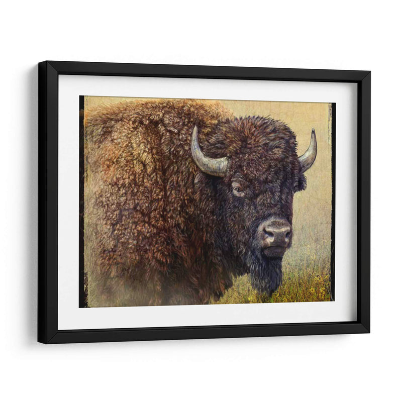 Retrato Bisonte I - Chris Vest | Cuadro decorativo de Canvas Lab