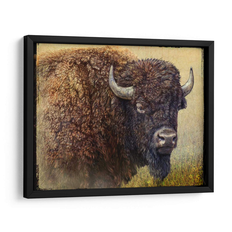 Retrato Bisonte I - Chris Vest | Cuadro decorativo de Canvas Lab