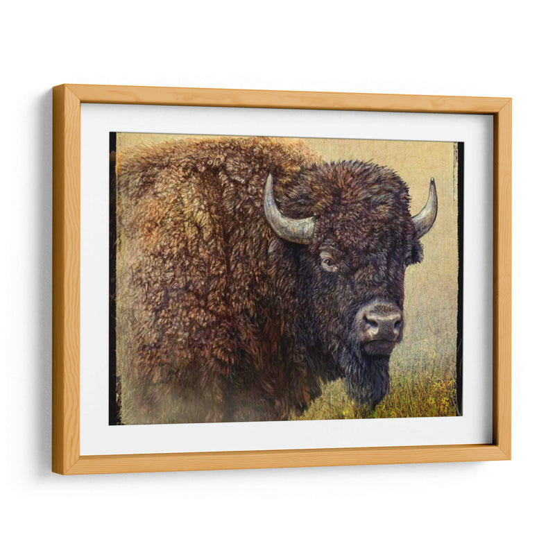 Retrato Bisonte I - Chris Vest | Cuadro decorativo de Canvas Lab