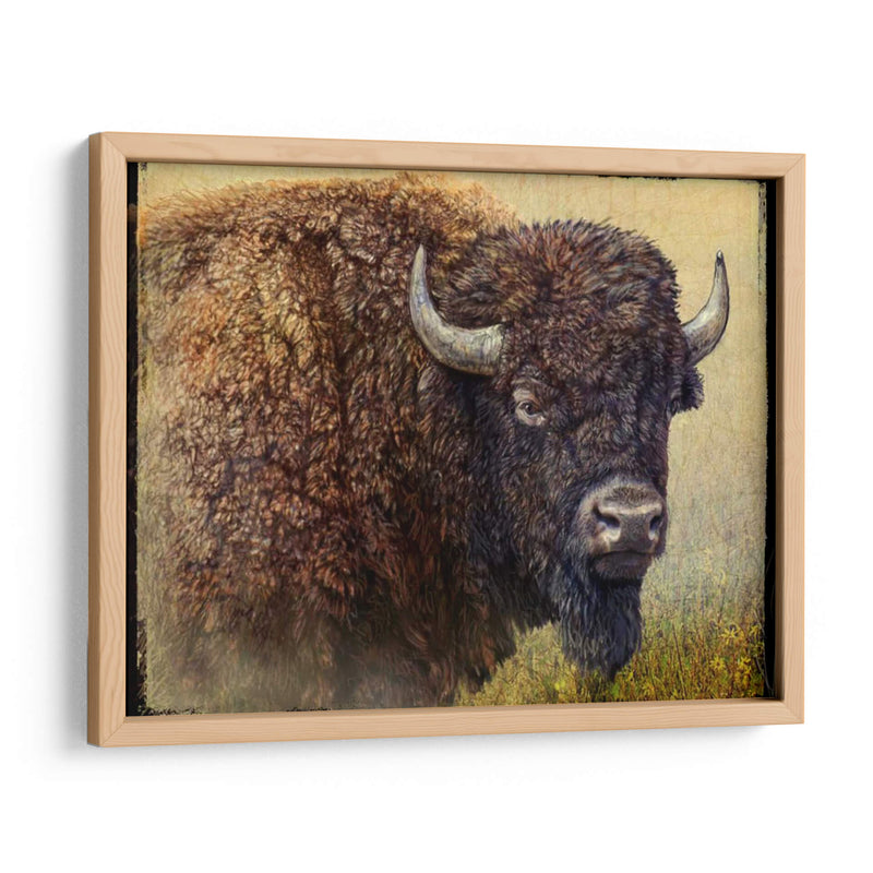 Retrato Bisonte I - Chris Vest | Cuadro decorativo de Canvas Lab