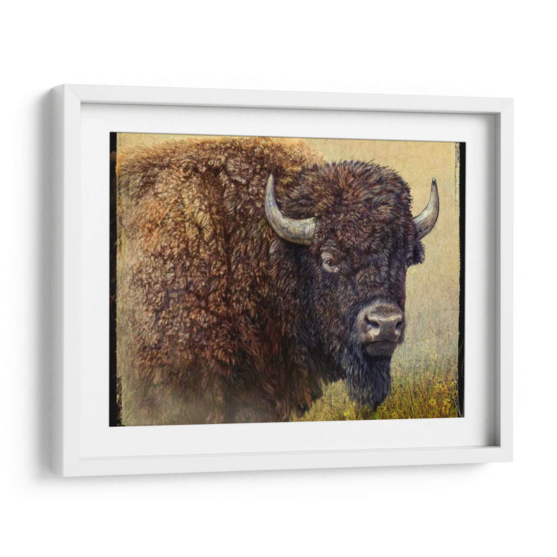 Retrato Bisonte I - Chris Vest | Cuadro decorativo de Canvas Lab