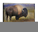 Bison Retrato Ii - Chris Vest | Cuadro decorativo de Canvas Lab