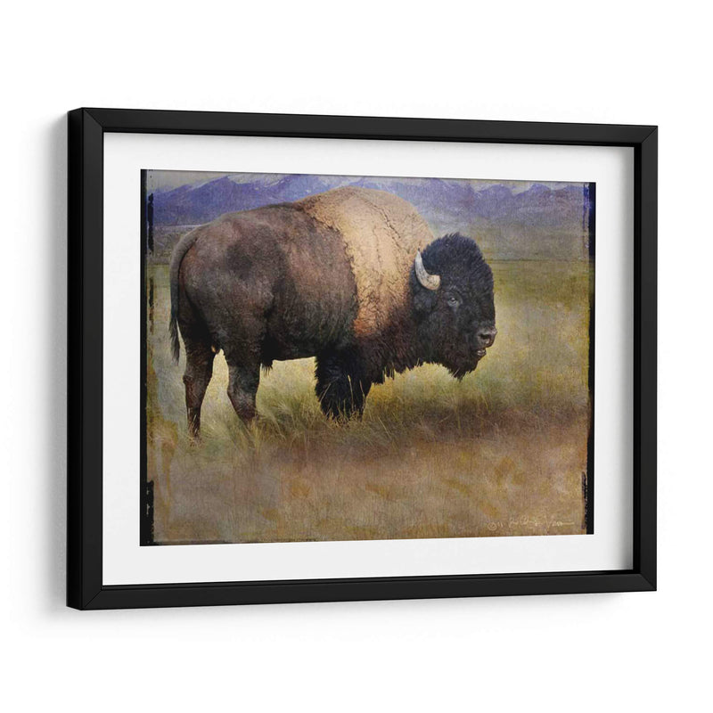 Bison Retrato Ii - Chris Vest | Cuadro decorativo de Canvas Lab