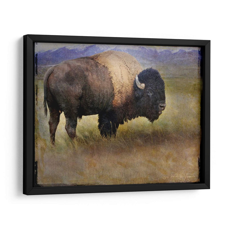 Bison Retrato Ii - Chris Vest | Cuadro decorativo de Canvas Lab