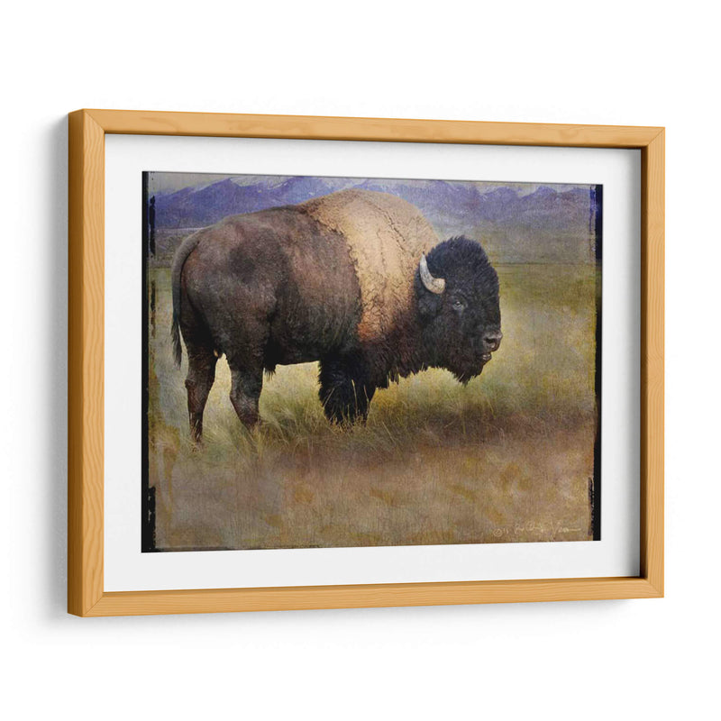 Bison Retrato Ii - Chris Vest | Cuadro decorativo de Canvas Lab