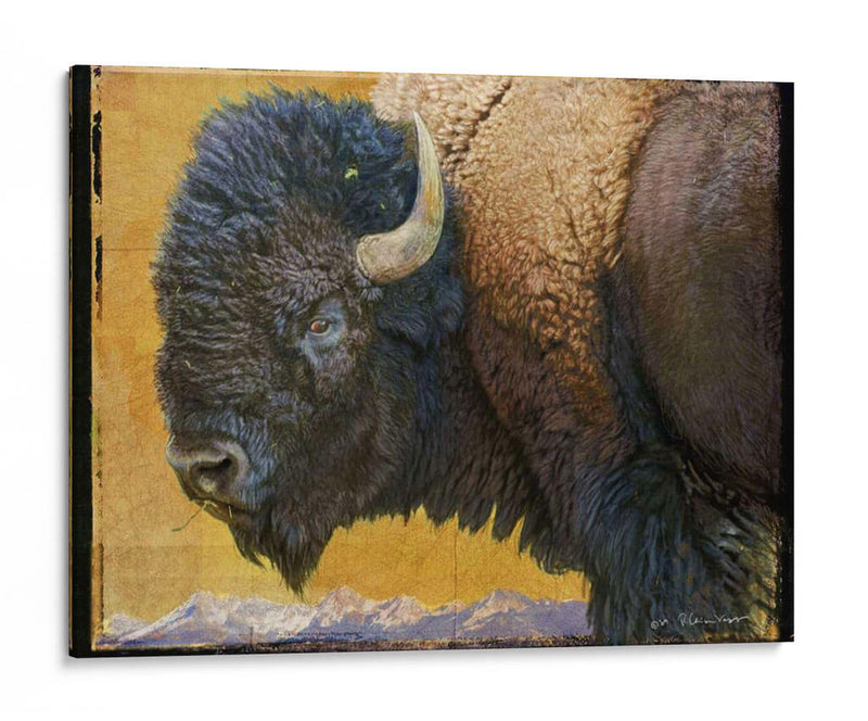 Bison Retrato Iii - Chris Vest | Cuadro decorativo de Canvas Lab