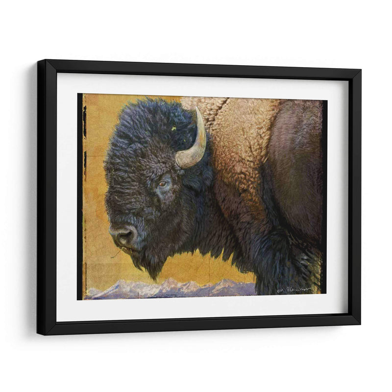 Bison Retrato Iii - Chris Vest | Cuadro decorativo de Canvas Lab