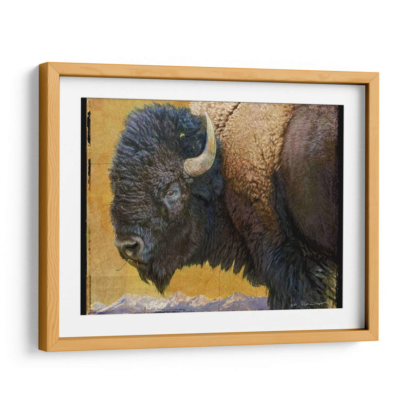 Bison Retrato Iii - Chris Vest | Cuadro decorativo de Canvas Lab