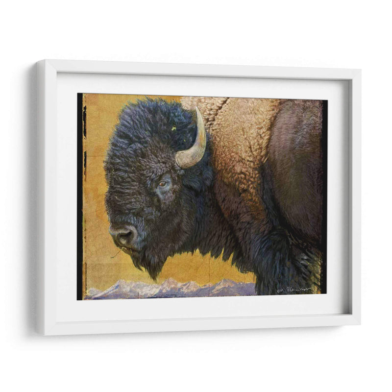 Bison Retrato Iii - Chris Vest | Cuadro decorativo de Canvas Lab